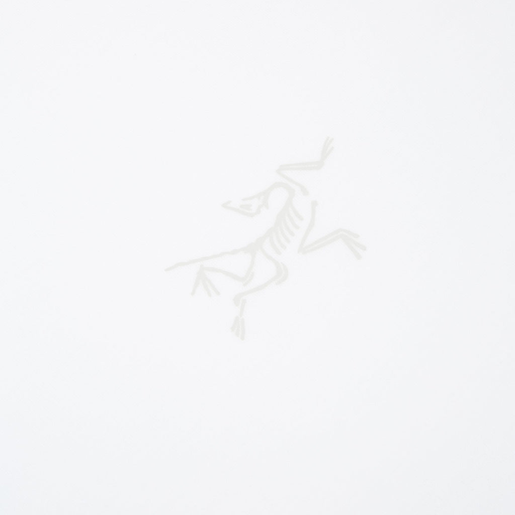 Arc'teryx Kragg SL Cotton SS M (White Light)