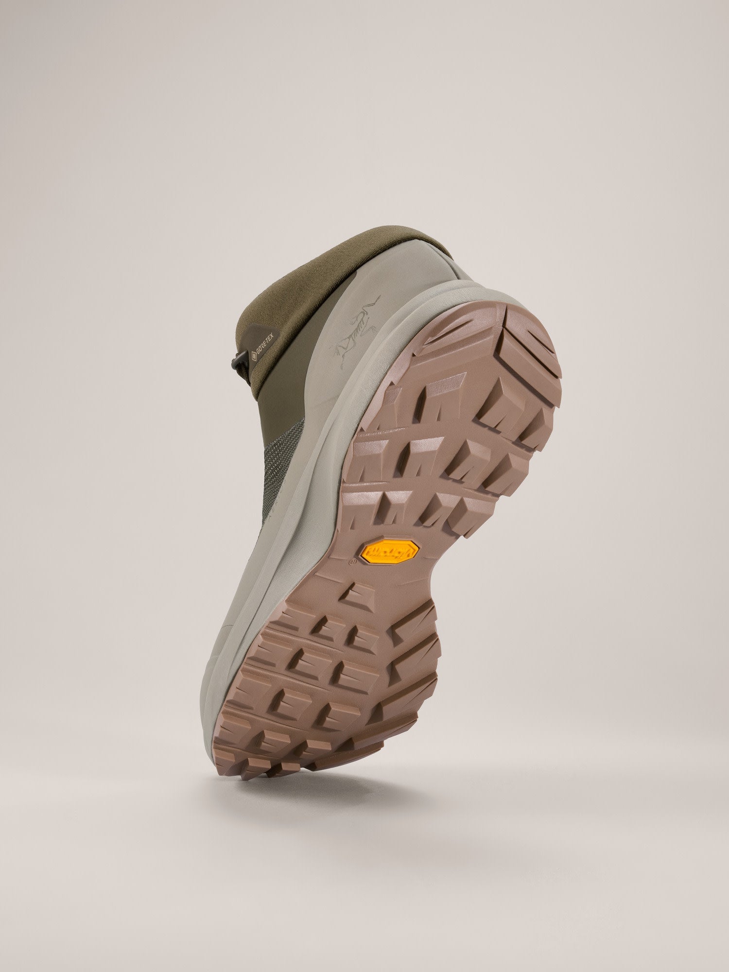 Aerios FL 2 Mid GTX Shoe Men's