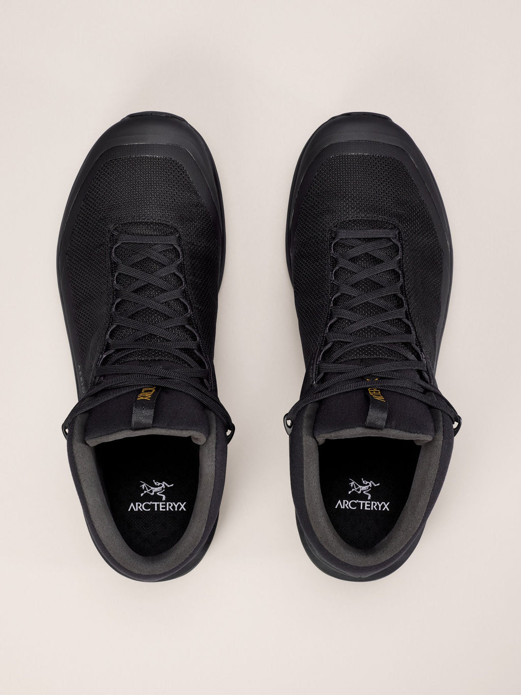 Aerios FL 2 Mid GTX Shoe Men's