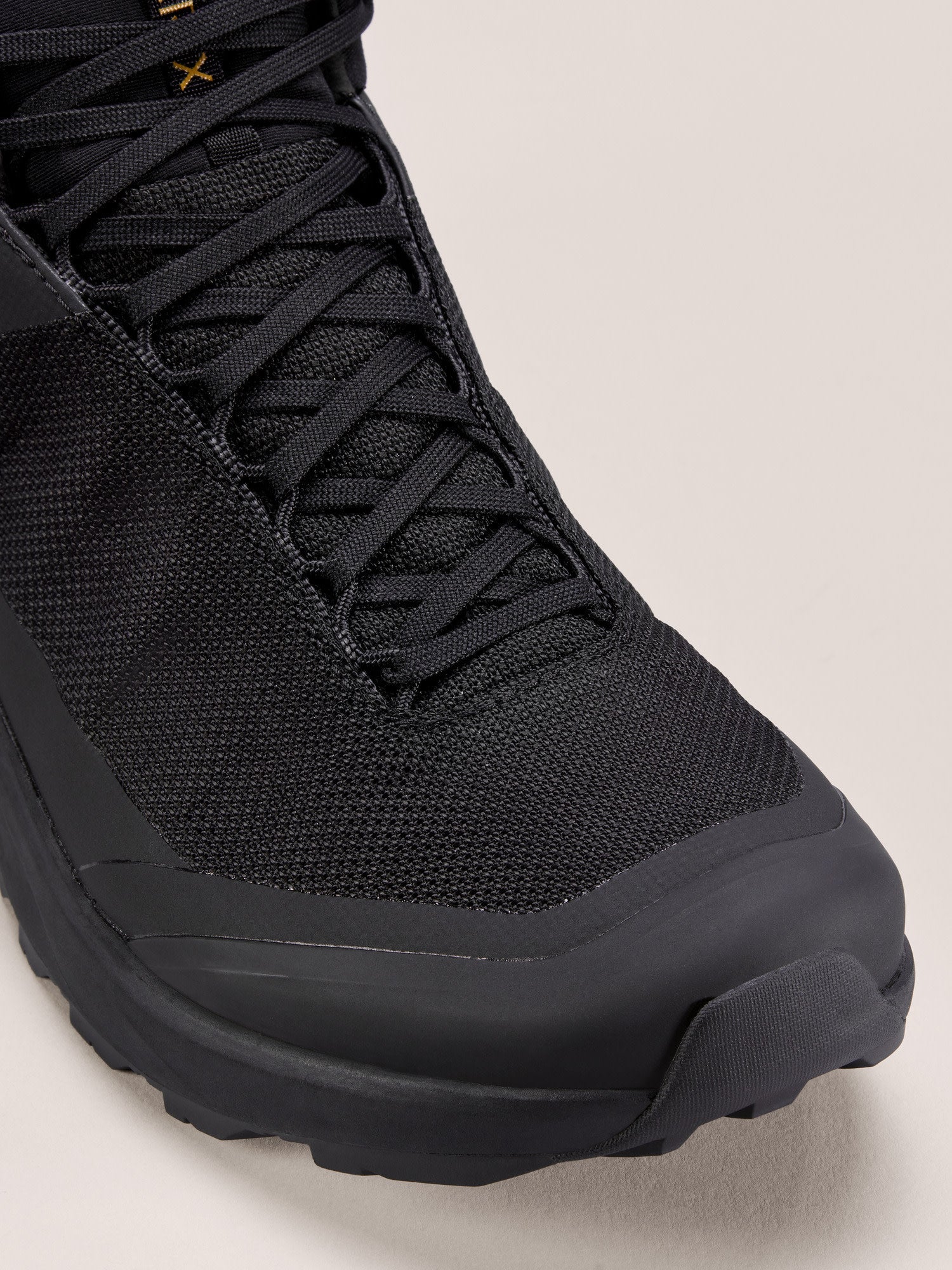 Aerios FL 2 Mid GTX Shoe Men's